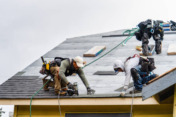 Professional Storm Damage Roof Repair technician working in DeWitt, IA